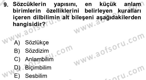 Genel Dilbilim 1 Dersi 2024 - 2025 Yılı Yaz Okulu Sınav Soruları 9. Soru