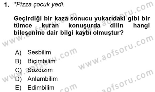 Genel Dilbilim 1 Dersi 2025 - 2026 Yılı (Vize) Ara Sınav Soruları 1. Soru
