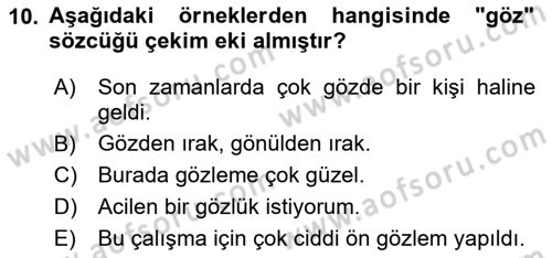 Genel Dilbilim 1 Dersi 2025 - 2026 Yılı (Vize) Ara Sınav Soruları 10. Soru