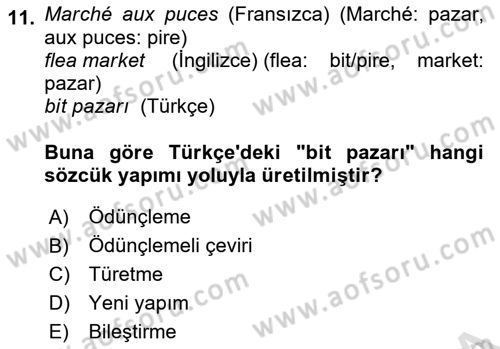 Genel Dilbilim 1 Dersi 2025 - 2026 Yılı (Vize) Ara Sınav Soruları 11. Soru