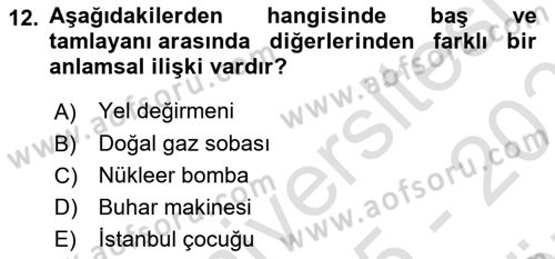 Genel Dilbilim 1 Dersi 2025 - 2026 Yılı (Vize) Ara Sınav Soruları 12. Soru