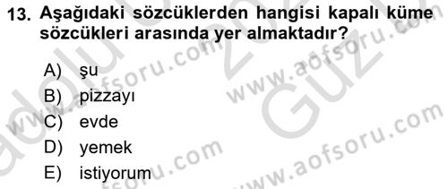Genel Dilbilim 1 Dersi 2025 - 2026 Yılı (Vize) Ara Sınav Soruları 13. Soru