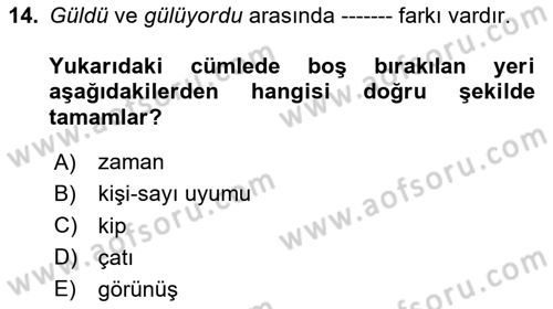 Genel Dilbilim 1 Dersi 2025 - 2026 Yılı (Vize) Ara Sınav Soruları 14. Soru