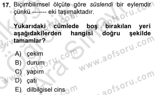 Genel Dilbilim 1 Dersi 2025 - 2026 Yılı (Vize) Ara Sınav Soruları 17. Soru