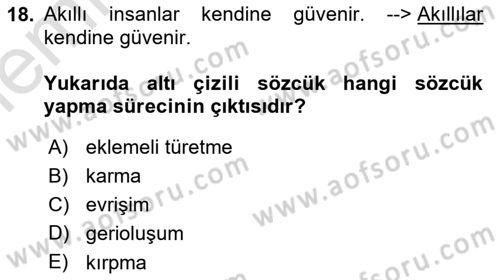 Genel Dilbilim 1 Dersi 2025 - 2026 Yılı (Vize) Ara Sınav Soruları 18. Soru