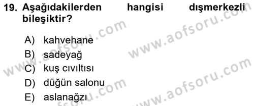 Genel Dilbilim 1 Dersi 2025 - 2026 Yılı (Vize) Ara Sınav Soruları 19. Soru