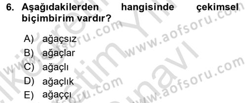 Genel Dilbilim 1 Dersi 2025 - 2026 Yılı (Vize) Ara Sınav Soruları 6. Soru