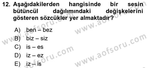 Genel Dilbilim 1 Dersi 2025 - 2026 Yılı (Final) Dönem Sonu Sınav Soruları 12. Soru