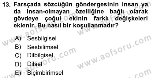 Genel Dilbilim 1 Dersi 2025 - 2026 Yılı (Final) Dönem Sonu Sınav Soruları 13. Soru