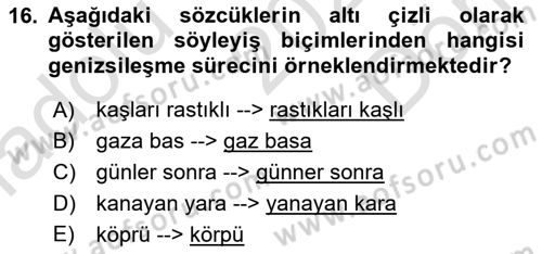 Genel Dilbilim 1 Dersi 2025 - 2026 Yılı (Final) Dönem Sonu Sınav Soruları 16. Soru