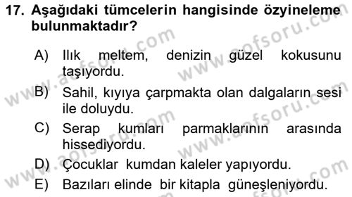 Genel Dilbilim 1 Dersi 2025 - 2026 Yılı (Final) Dönem Sonu Sınav Soruları 17. Soru