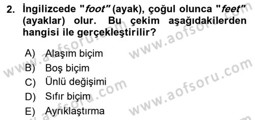 Genel Dilbilim 1 Dersi 2025 - 2026 Yılı (Final) Dönem Sonu Sınav Soruları 2. Soru