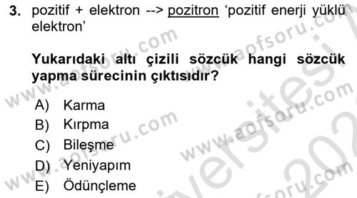 Genel Dilbilim 1 Dersi 2025 - 2026 Yılı (Final) Dönem Sonu Sınav Soruları 3. Soru