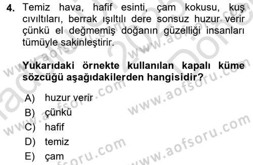 Genel Dilbilim 1 Dersi 2025 - 2026 Yılı (Final) Dönem Sonu Sınav Soruları 4. Soru