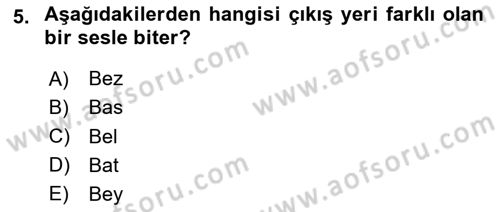 Genel Dilbilim 1 Dersi 2025 - 2026 Yılı (Final) Dönem Sonu Sınav Soruları 5. Soru