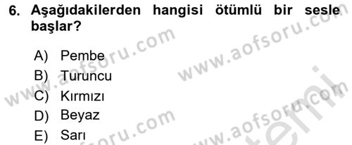 Genel Dilbilim 1 Dersi 2025 - 2026 Yılı (Final) Dönem Sonu Sınav Soruları 6. Soru