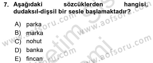 Genel Dilbilim 1 Dersi 2025 - 2026 Yılı (Final) Dönem Sonu Sınav Soruları 7. Soru