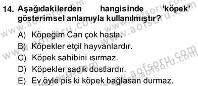 Genel Dilbilim 2 Dersi 2013 - 2014 Yılı (Vize) Ara Sınav Soruları 14. Soru