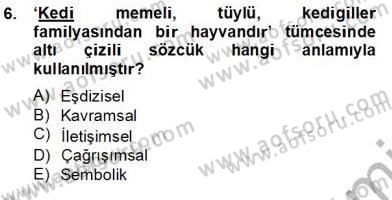Genel Dilbilim 2 Dersi 2013 - 2014 Yılı Tek Ders Sınav Soruları 6. Soru