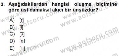 Genel Dilbilim 2 Dersi 2015 - 2016 Yılı (Vize) Ara Sınav Soruları 3. Soru