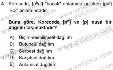 Genel Dilbilim 2 Dersi 2015 - 2016 Yılı (Vize) Ara Sınav Soruları 4. Soru