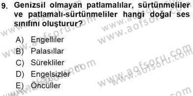 Genel Dilbilim 2 Dersi 2015 - 2016 Yılı (Vize) Ara Sınav Soruları 9. Soru