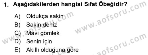 Genel Dilbilim 2 Dersi 2017 - 2018 Yılı 3 Ders Sınav Soruları 1. Soru