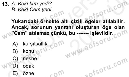 Genel Dilbilim 2 Dersi 2017 - 2018 Yılı 3 Ders Sınav Soruları 13. Soru