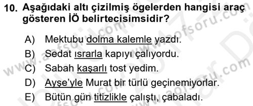 Genel Dilbilim 2 Dersi 2017 - 2018 Yılı (Vize) Ara Sınav Soruları 10. Soru