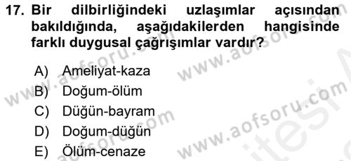 Genel Dilbilim 2 Dersi 2017 - 2018 Yılı (Vize) Ara Sınavı 17. Soru