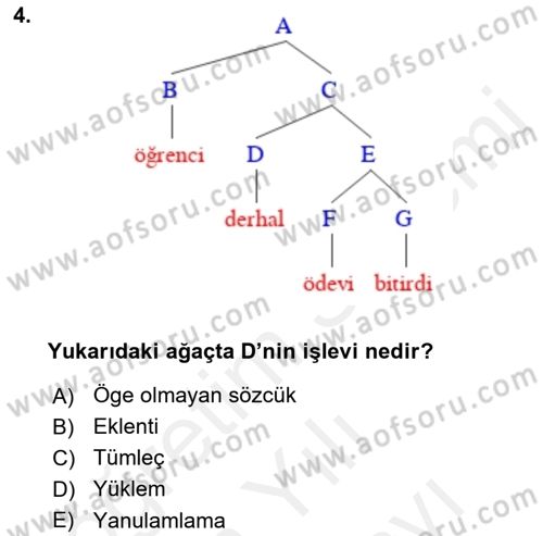 Genel Dilbilim 2 Dersi 2017 - 2018 Yılı (Vize) Ara Sınav Soruları 4. Soru