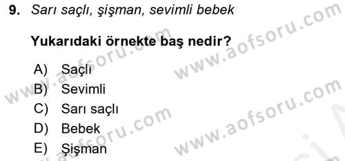 Genel Dilbilim 2 Dersi 2017 - 2018 Yılı (Vize) Ara Sınav Soruları 9. Soru