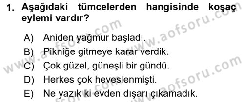 Genel Dilbilim 2 Dersi 2017 - 2018 Yılı (Final) Dönem Sonu Sınav Soruları 1. Soru