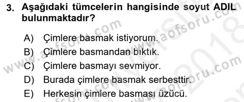 Genel Dilbilim 2 Dersi 2017 - 2018 Yılı (Final) Dönem Sonu Sınav Soruları 3. Soru