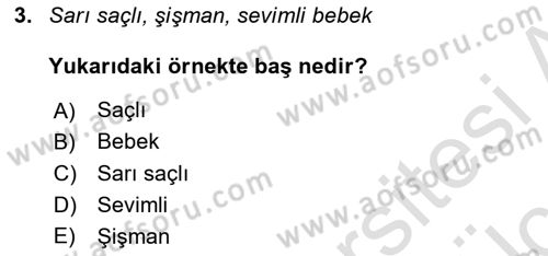 Genel Dilbilim 2 Dersi 2018 - 2019 Yılı 3 Ders Sınav Soruları 3. Soru