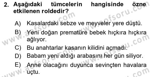 Genel Dilbilim 2 Dersi 2018 - 2019 Yılı (Vize) Ara Sınav Soruları 2. Soru