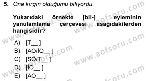 Genel Dilbilim 2 Dersi 2018 - 2019 Yılı (Vize) Ara Sınav Soruları 5. Soru