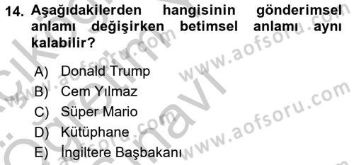 Genel Dilbilim 2 Dersi 2018 - 2019 Yılı Yaz Okulu Sınav Soruları 14. Soru