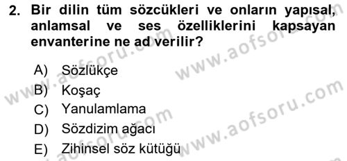 Genel Dilbilim 2 Dersi 2018 - 2019 Yılı Yaz Okulu Sınav Soruları 2. Soru