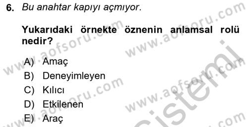 Genel Dilbilim 2 Dersi 2018 - 2019 Yılı Yaz Okulu Sınavı 6. Soru