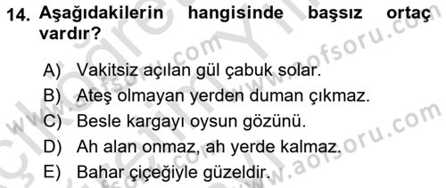 Genel Dilbilim 2 Dersi 2020 - 2021 Yılı Yaz Okulu Sınavı 14. Soru