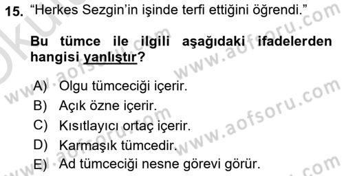 Genel Dilbilim 2 Dersi 2020 - 2021 Yılı Yaz Okulu Sınav Soruları 15. Soru