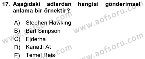 Genel Dilbilim 2 Dersi 2020 - 2021 Yılı Yaz Okulu Sınav Soruları 17. Soru
