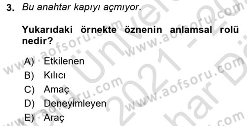 Genel Dilbilim 2 Dersi 2021 - 2022 Yılı (Vize) Ara Sınav Soruları 3. Soru