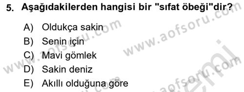 Genel Dilbilim 2 Dersi 2021 - 2022 Yılı (Vize) Ara Sınavı 5. Soru