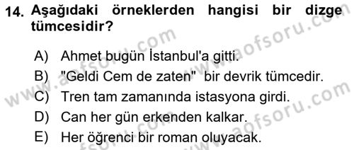 Genel Dilbilim 2 Dersi 2021 - 2022 Yılı (Final) Dönem Sonu Sınav Soruları 14. Soru