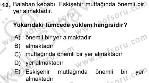 Genel Dilbilim 2 Dersi 2021 - 2022 Yılı Yaz Okulu Sınav Soruları 12. Soru