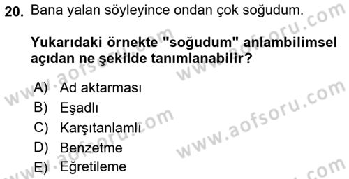 Genel Dilbilim 2 Dersi 2021 - 2022 Yılı Yaz Okulu Sınavı 20. Soru