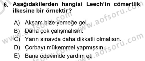 Genel Dilbilim 2 Dersi 2021 - 2022 Yılı Yaz Okulu Sınavı 6. Soru