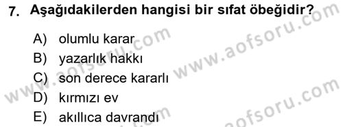 Genel Dilbilim 2 Dersi 2021 - 2022 Yılı Yaz Okulu Sınav Soruları 7. Soru